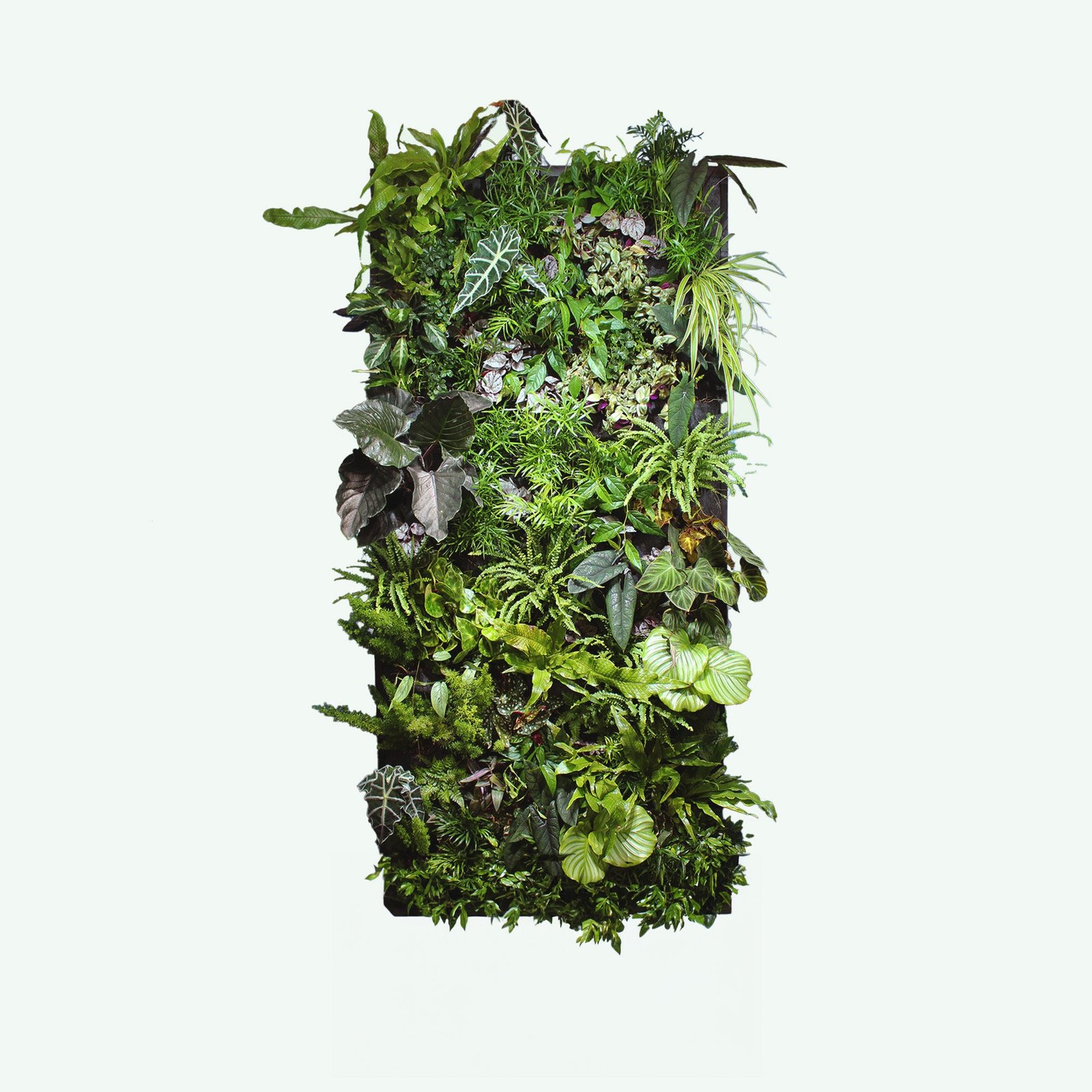 Verticale tuin Jurassic met diepgroene planten