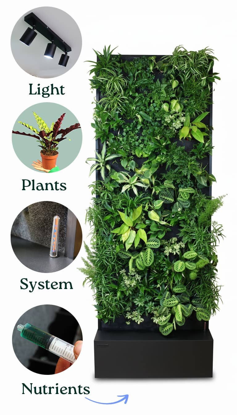 All-in-1 plant wall package with light, plants, system and nutrition