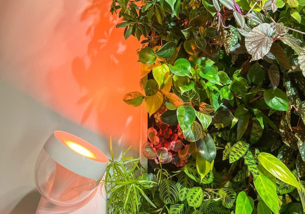 Levende plantenwand met een oranje lamp ervoor