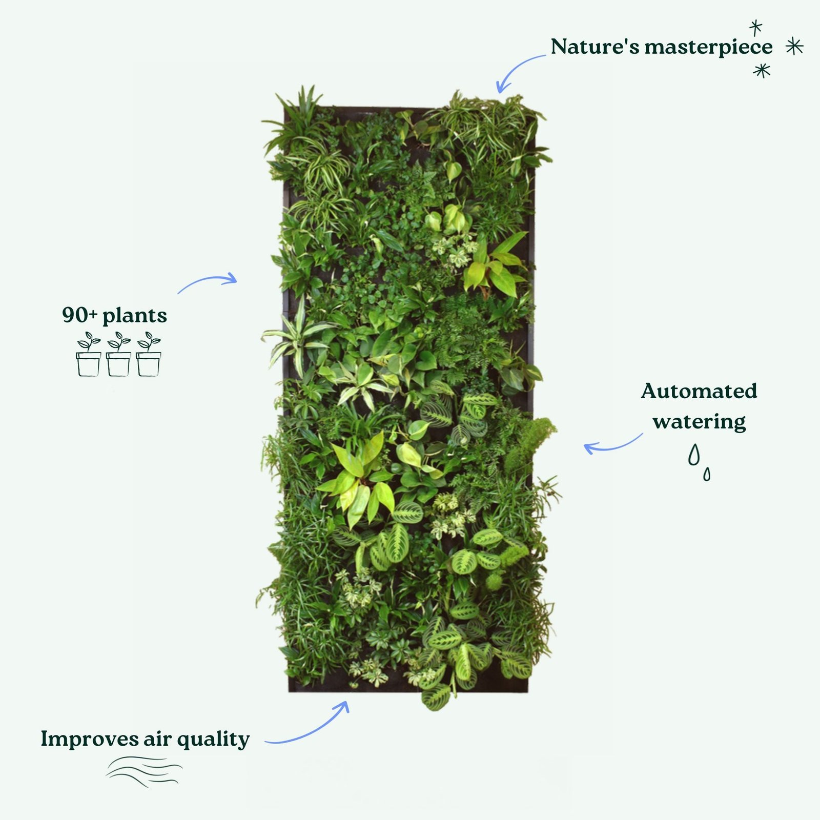 Living Oasis vertical garden with its features highlighted: natural masterpiece, automatic watering, 90+ plants, improved air quality