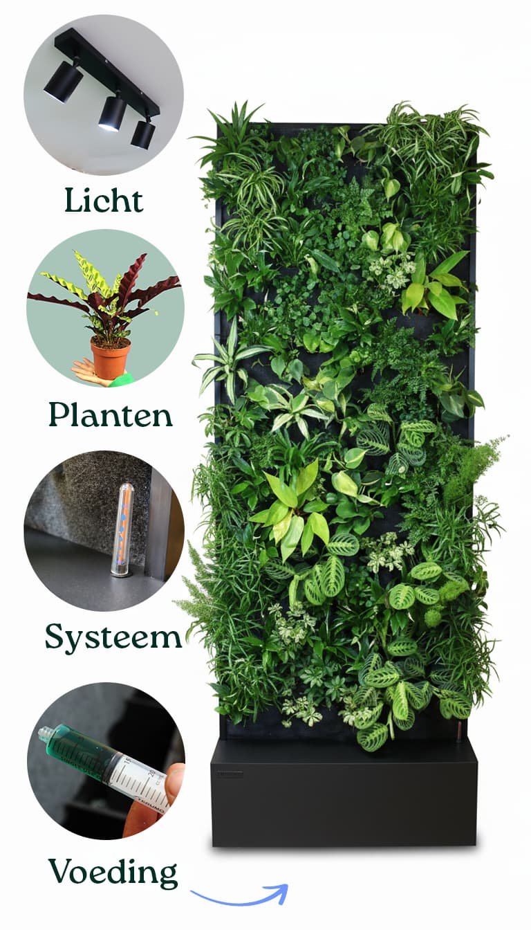 Plantenmuur alles-in-1 pakket met licht, planten, systeem en voeding